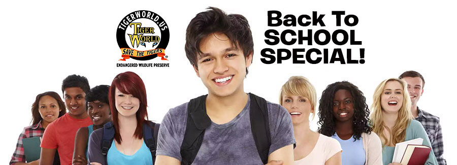 FBBackToSchoolHeader
