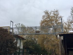 IMG_0479