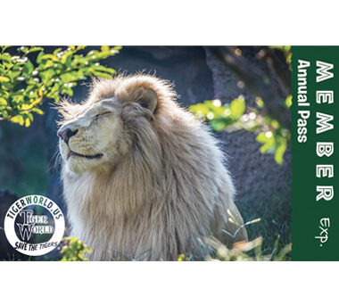 Tiger World Annual Pass