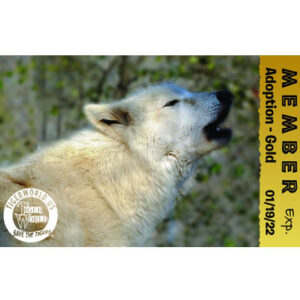 Wild Adoptions (Yearly)