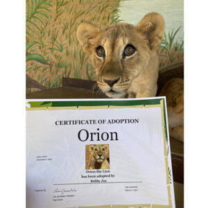 Wild Adoptions One-TIme Purchase