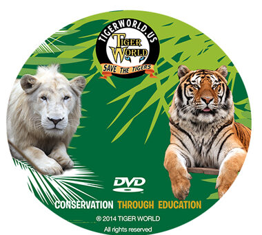 Tiger World DVD