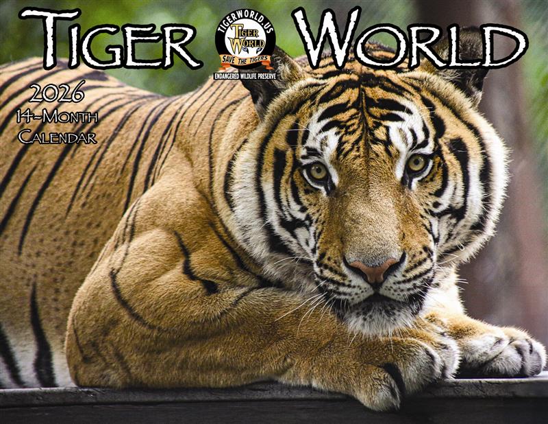 Tiger World 14 Month 2026 Calendar