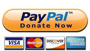 Pay Pal Donate Now Button