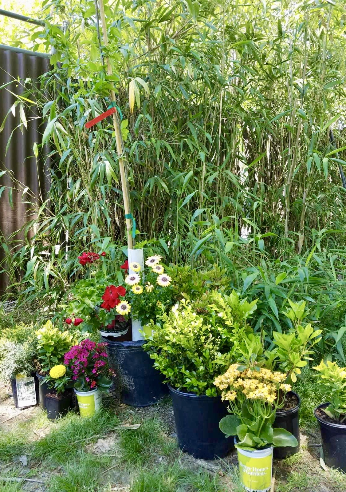 Donations to TigerWorld for Earth Day