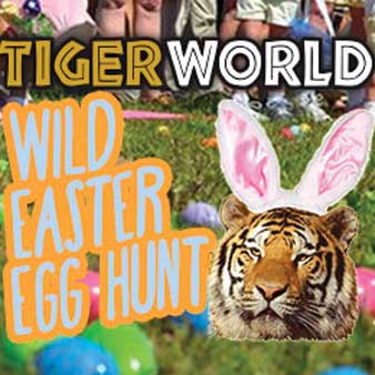 Wild-Easter-Egg-Hunt