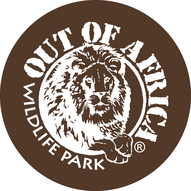 OutofAfrica Logo