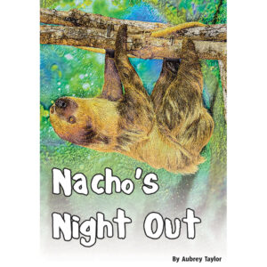 Children's Book - Nacho's Night Out