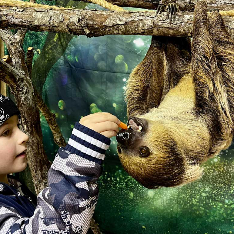 Hunter-feeds-Nacho-for-web